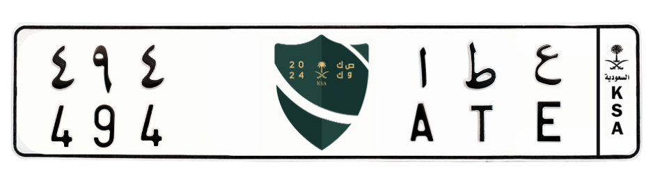 لوحة ع ط ا 494